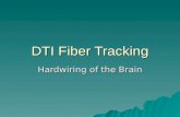 DTI Fiber Tracking