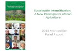 Sustainable Intensification: A New Paradigm for African agriculture (Montpellier Panel)