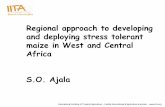 Regional approach to developing and deploying stress tolerant maize in West and Central Africa