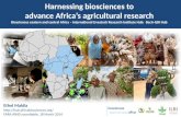 Harnessing biosciences to advance Africa’s agricultural research