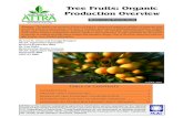 Tree Fruits: Organic Production