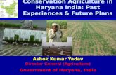 CA in Haryana India: past experiences and future plans. Ashok K Yadav