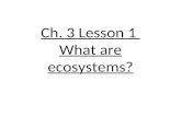 3rd Grade Ch. 3 Lesson 1 What are ecosystems