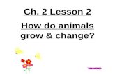 3rd Grade Ch. 2 Lesson 2 How do Animals Grow & Change