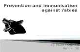 Prevention and control of rabies