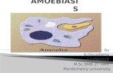 Amoebiasis by datha
