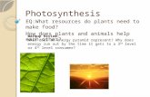 Ppt Ecol Photosynthesis