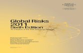 Global risks report 2011
