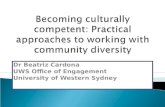 Cultural competence lecture
