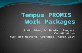 Tempus PROMIS Work Packages