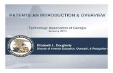 Patent introduction and overview atlanta january 2014