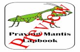Praying Mantis Lapbook Preview