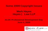 "Some 2009 Copyright Issues" June 4 2009
