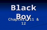 Black Boy Chapters 11 And 12