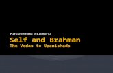 The  Vedas - Brahmas and the Self