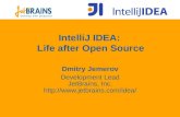 IntelliJ IDEA: Life after Open Source