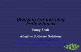 Blogging and The Learning Professional