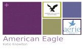 American Eagle New Media