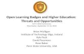 Open Learning Badges and Higher Education - Threats and Opportunities