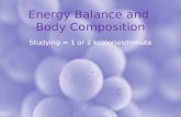 Chapter 8 Energy Balance And Body Composition