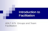Introduction to facilitative skills schwarz adlt 675  class 2