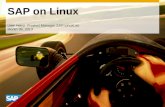 SAP on Linux