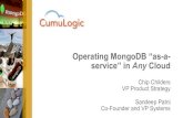 Operating MongoDB 'as a service' inside the firewall