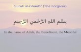 40   Surah Al Ghafir (The Forgiver)