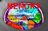 Memory powerpoint