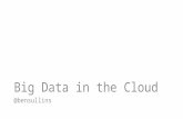 Big data in the cloud