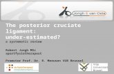 The posterior cruciate ligament: under-estimated? a systematic review Robert Jongh MSc sportfysiotherapeut Promotor Prof. Dr. R. Meeusen VUB Brussel.