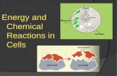 Energy and chem reactions in cells