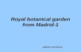 Royal Botanical Garden From Madrid 1