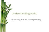 Understanding Haiku