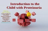 Introduction to a child with proteinuria