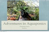 Adventures in Aquaponics