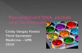 Recombinant DNA, probes and Techniques