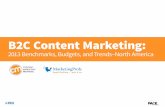 Marketing de contenido B2C 2013 en USA
