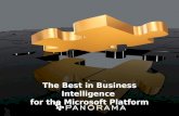 The Best in Business Intelligence for Microsoft Platform