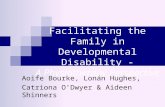 Developmental Disability Presentation Version.ppt