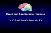 Brain And Craniofacial Trauma   Brenda