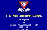 IP Report to ICM 2014