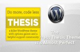 The WordPress Thesis Theme - It's Almost Perfect