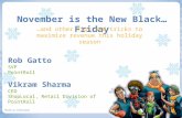 2010 Holiday Marketing Webinar – “November is the New Black…Friday”