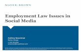 Social Media and the Law with Andrew Rosenman, partner, Mayer Brown Law Firm - Chicago