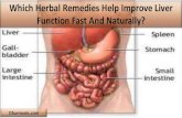 Which Herbal Remedies Help Improve Liver Function Fast And Naturally?