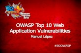 OWASP Top 10 Web Application Vulnerabilities
