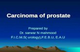 Urology 5th year, 2nd lecture (Dr. Sarwar)