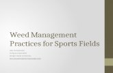 Weed Management Practices for Sports Fields