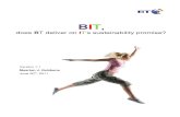 Business and IT, does BT deliver on IT's sustainability promise